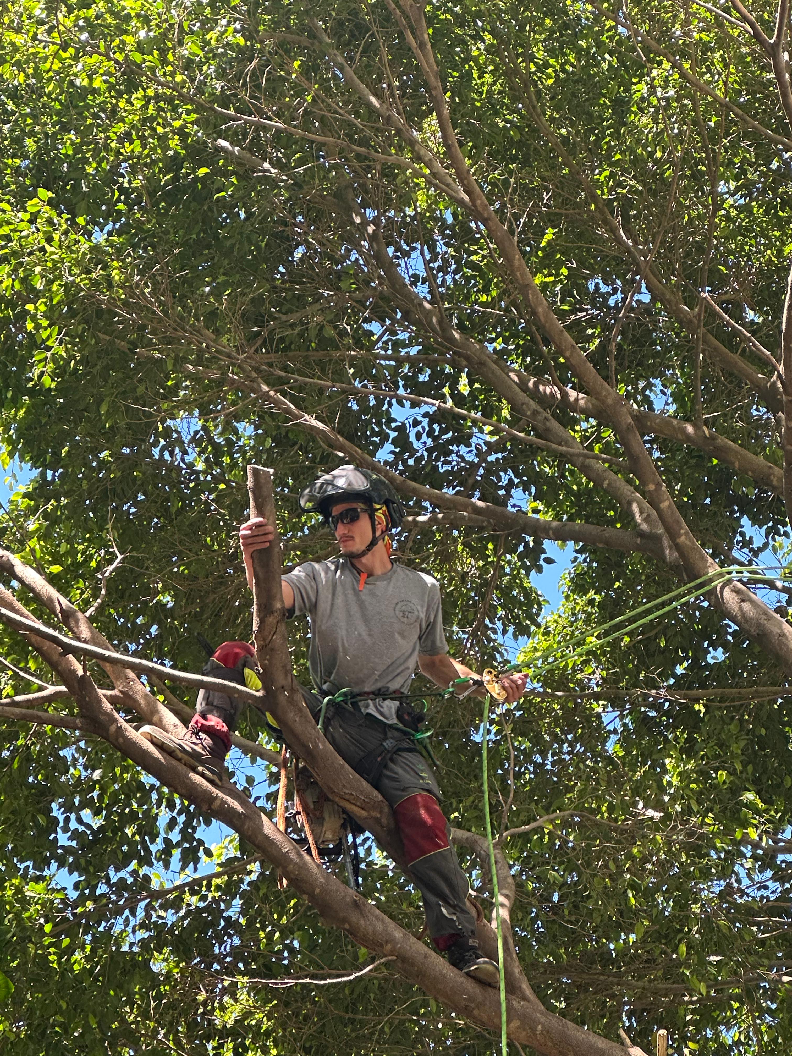Galería de Trabajos Realizados 22