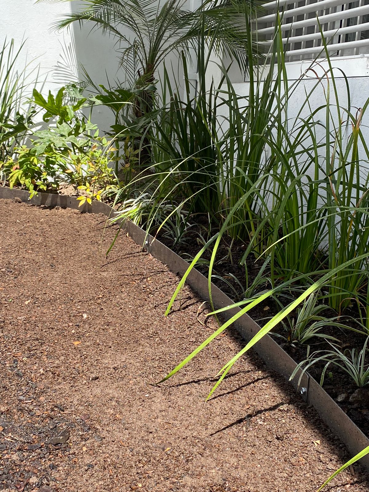 Trabajos de jardinería realizados 10