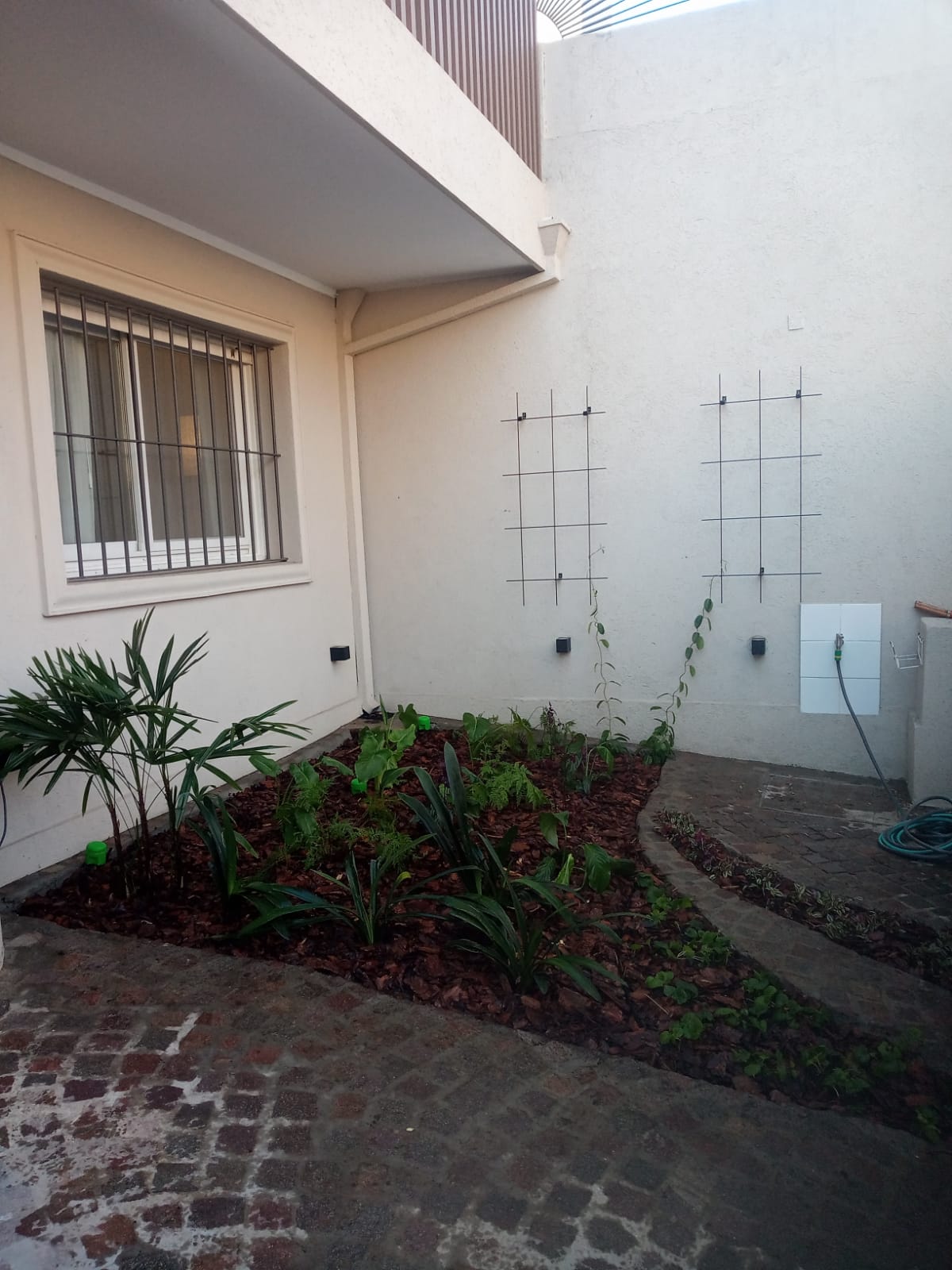 Trabajos de jardinería realizados 5