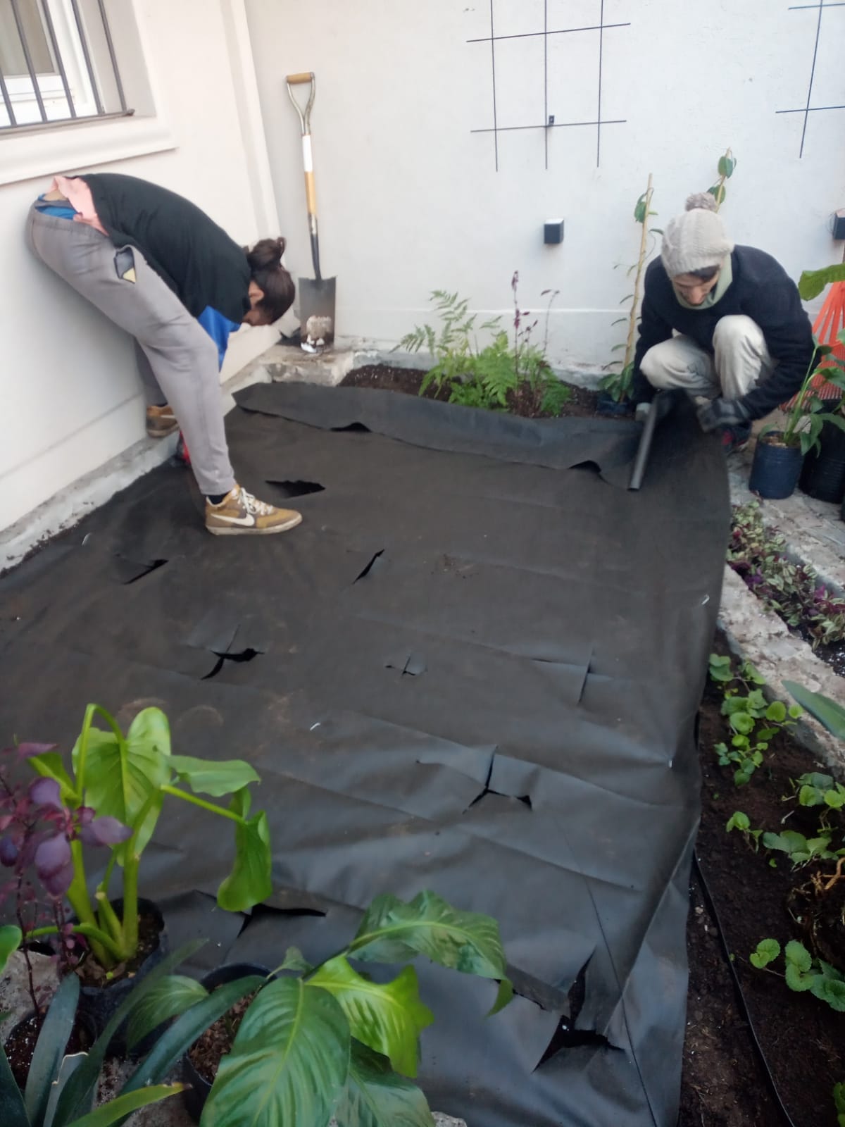 Trabajos de jardinería realizados 7