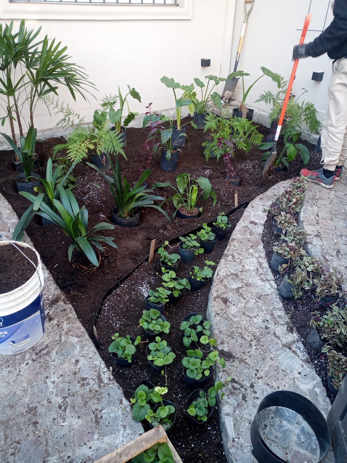 Trabajos de jardinería realizados 6