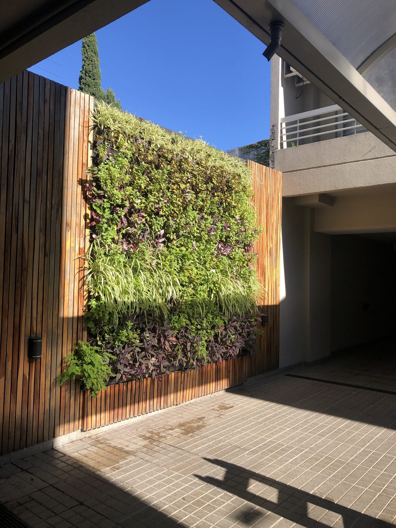 Trabajos de jardinería realizados 3