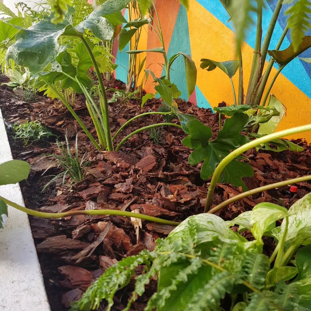Trabajos de jardinería realizados 12